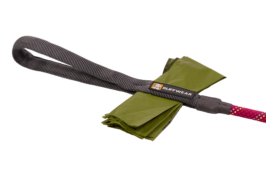 Title: The Ultimate Leash Test: We Took 5 Top Models on a Wild Adventure