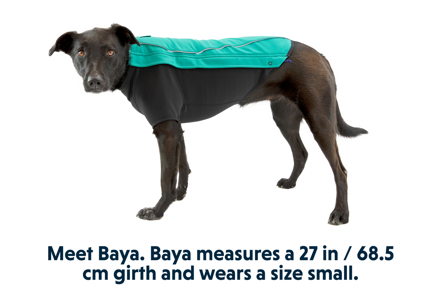 Dog Jacket