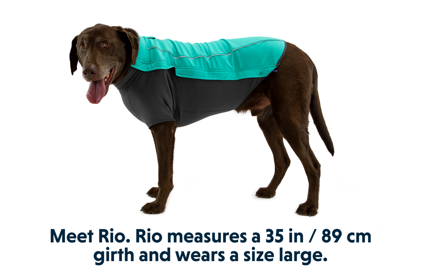 Dog Jacket