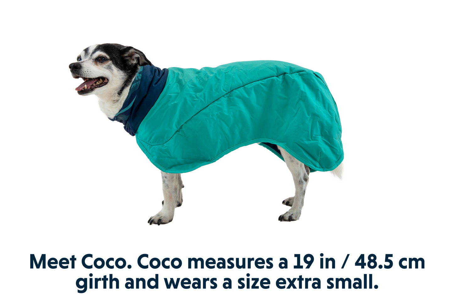 Dog Towel