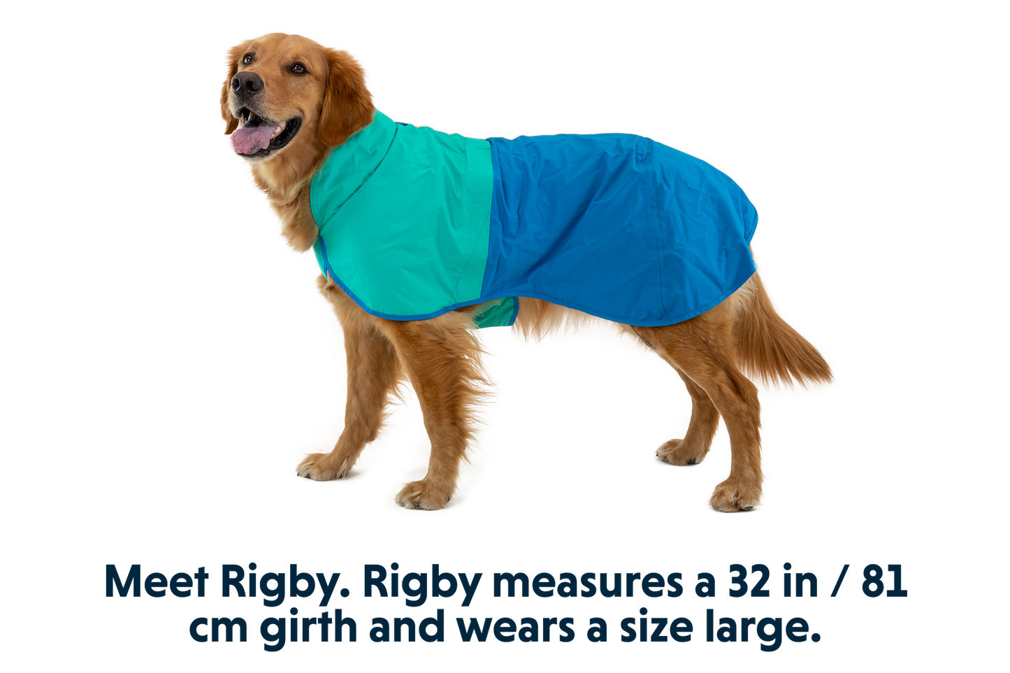 Dog Raincoat