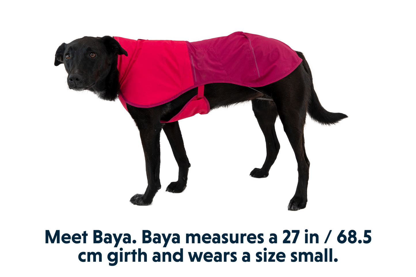 Dog Raincoat
