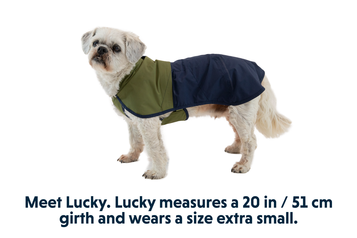 Dog Raincoat