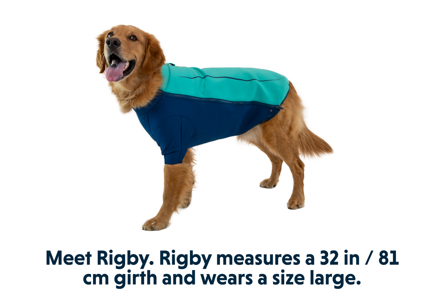 Dog Water Jacket