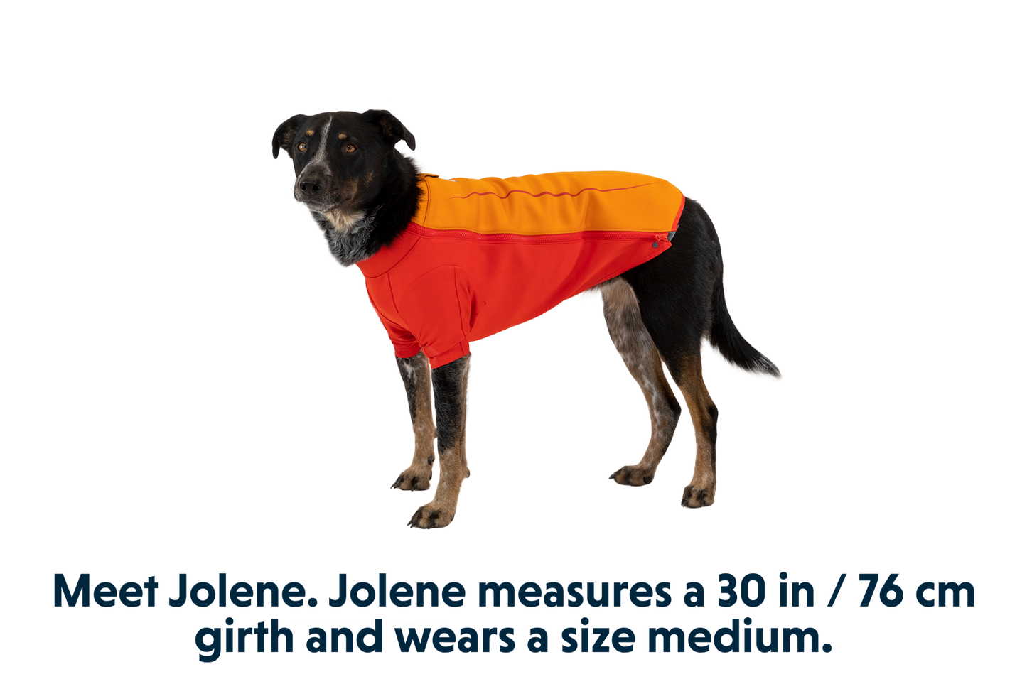Dog Water Jacket