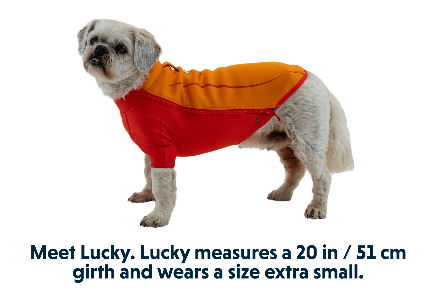 Dog Water Jacket