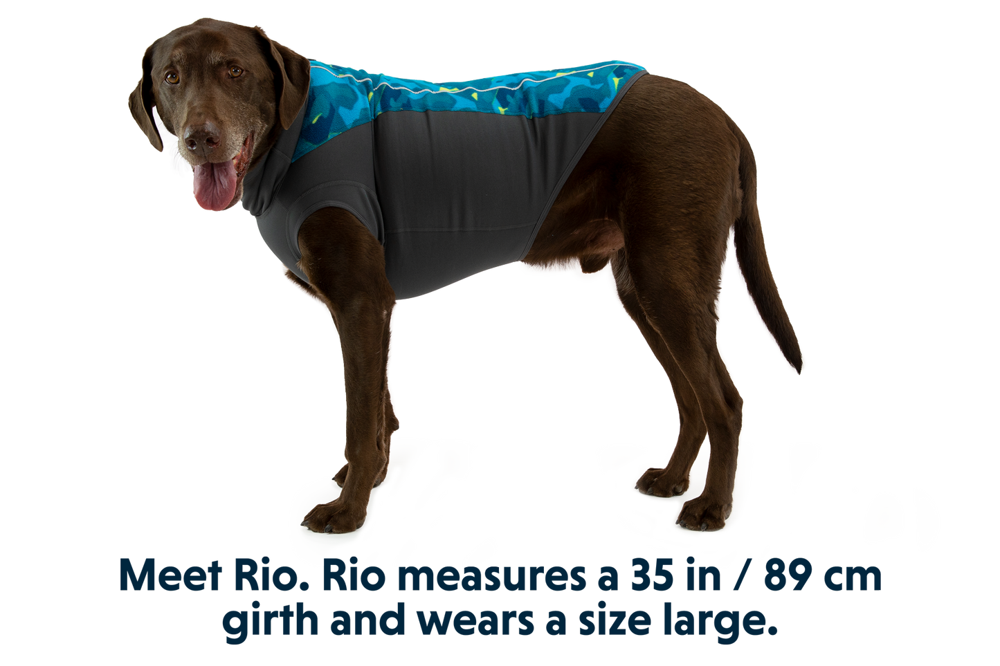 Dog Fleece Pullover