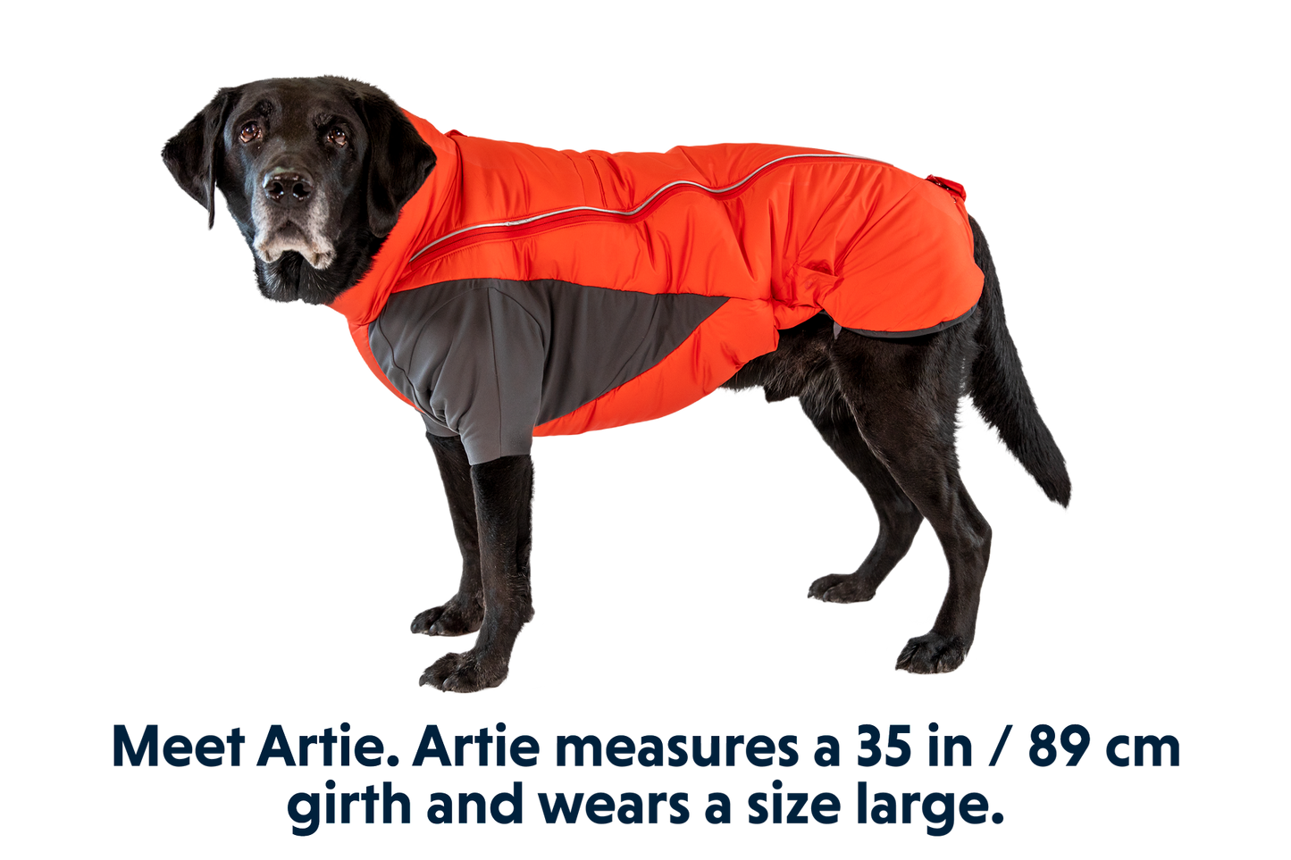 Dog Jacket