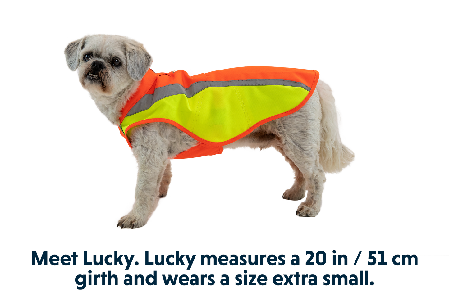 High-Vis Vest