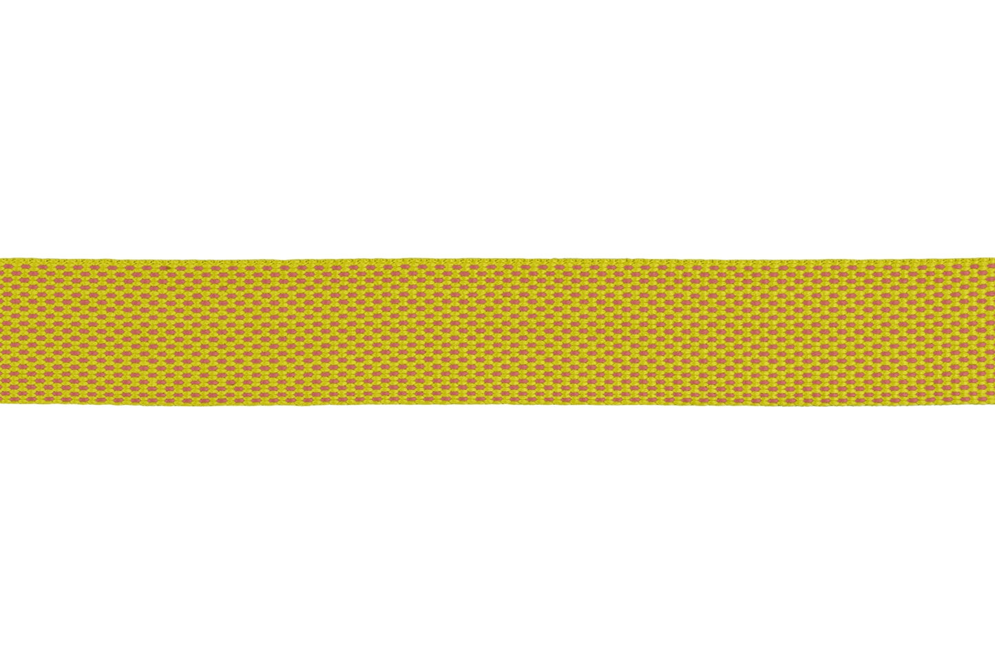 Lightweight Dog Collar