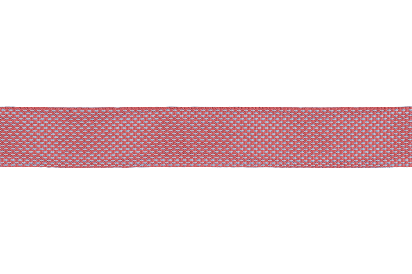 Lightweight Dog Collar