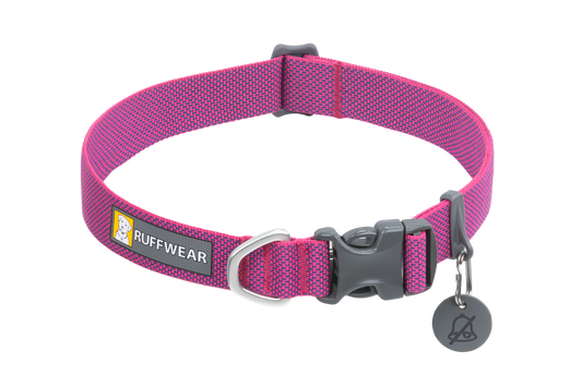 Lightweight Dog Collar