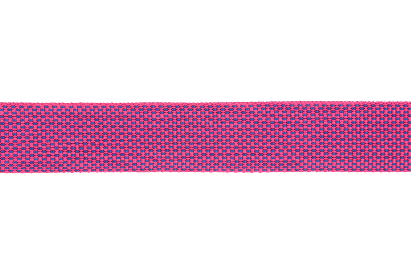 Lightweight Dog Collar