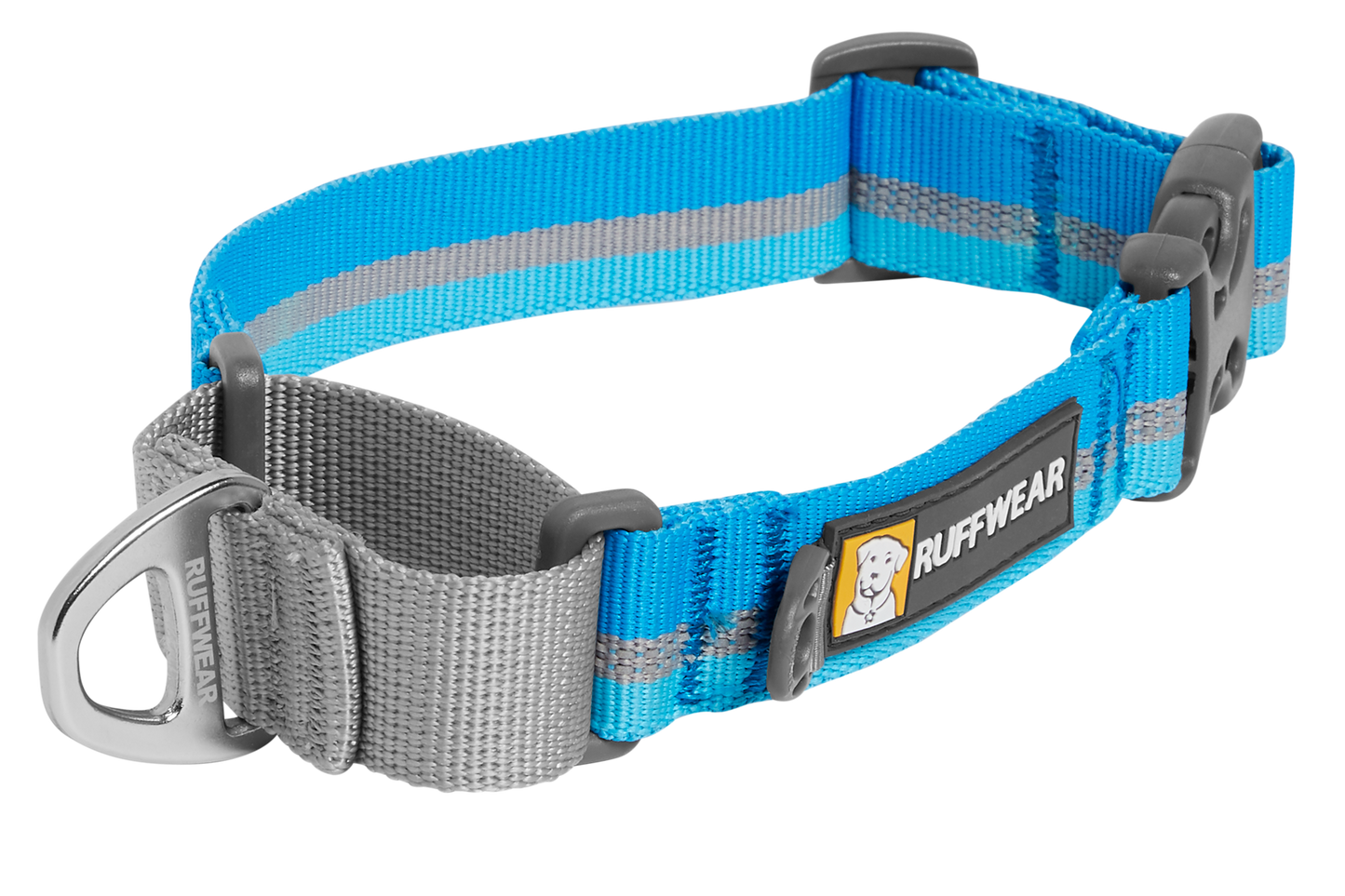 e Dog Collar With Buckle