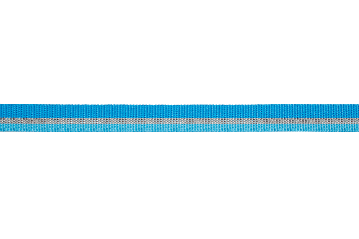 e Dog Collar With Buckle