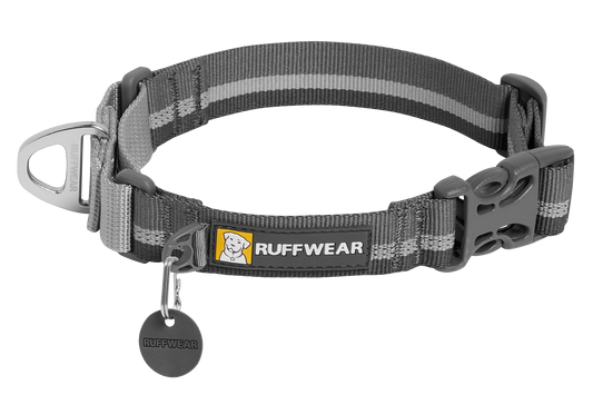 e Dog Collar With Buckle