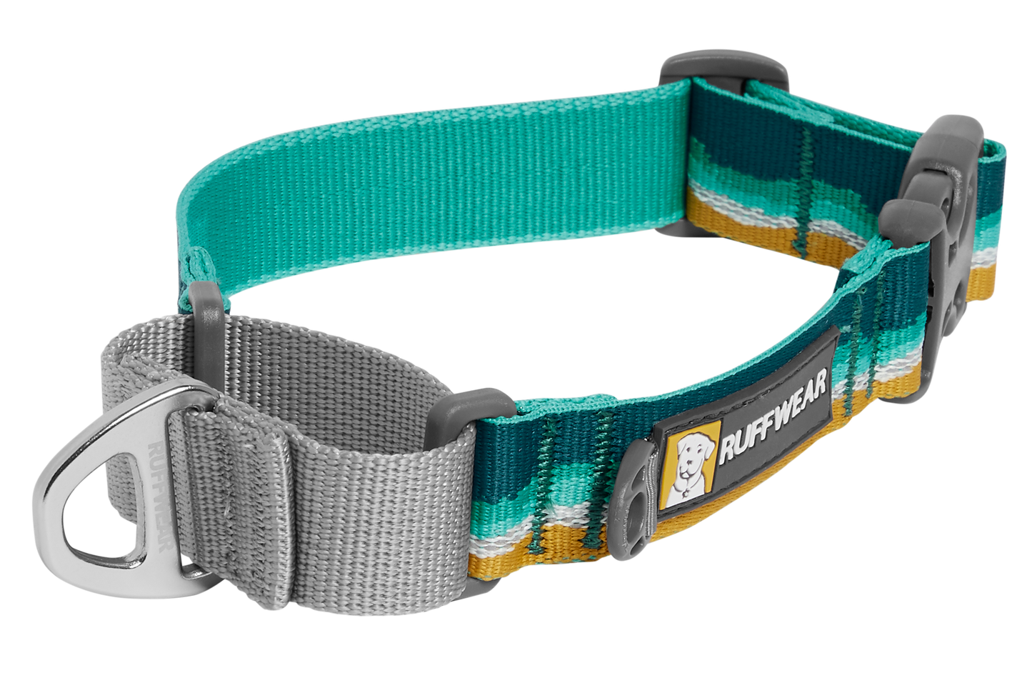 e Dog Collar With Buckle
