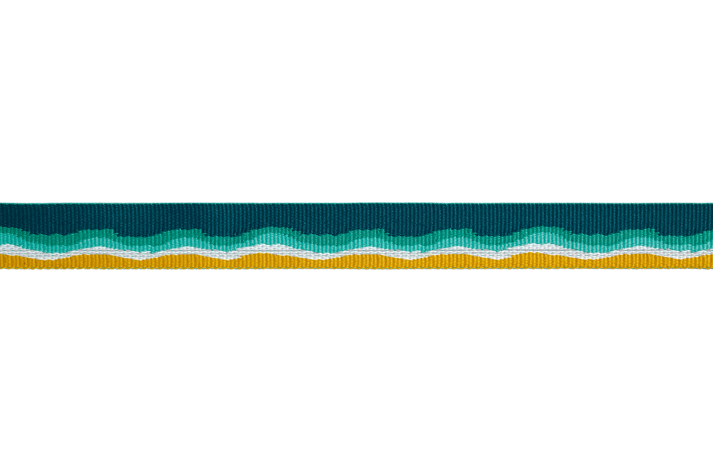 e Dog Collar With Buckle