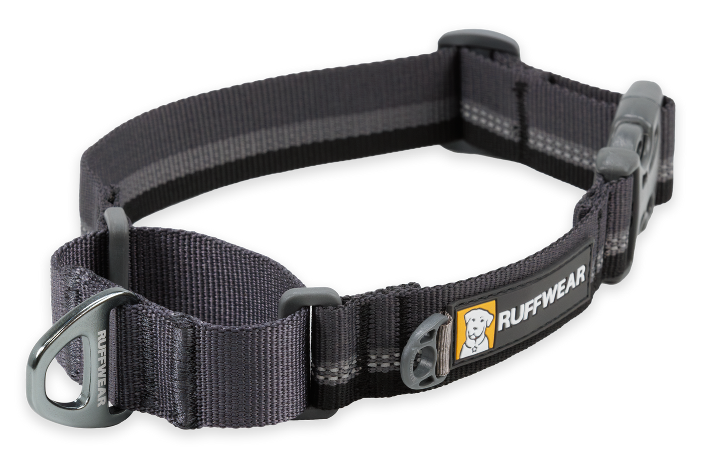 Martingale Dog Collar With Buckle