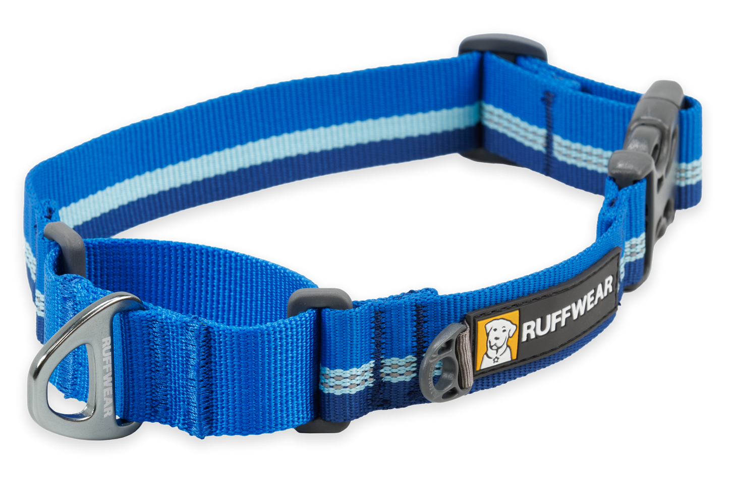 Martingale Dog Collar With Buckle