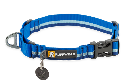 Martingale Dog Collar With Buckle