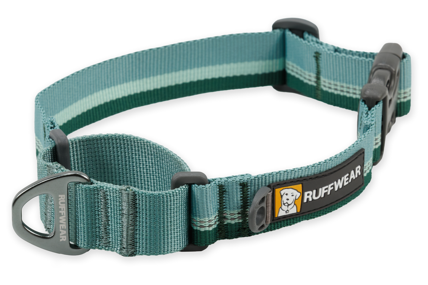 Martingale Dog Collar With Buckle
