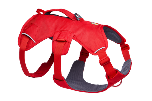 Dog Harness with Handle