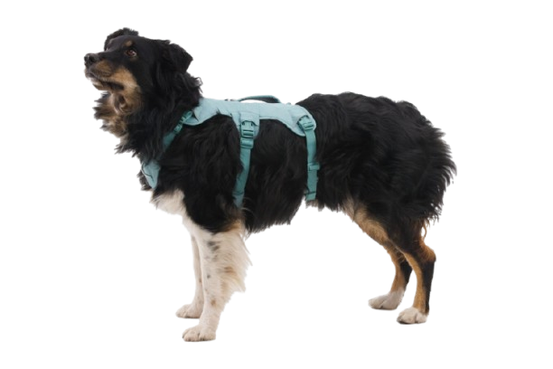 Dog Harness with Handle