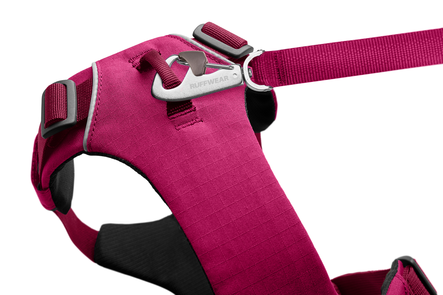 Dog Harness