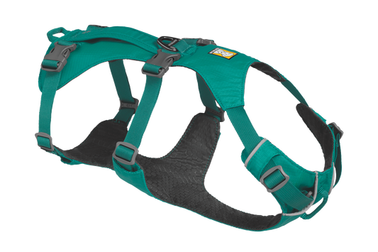 Dog Harness with Handle