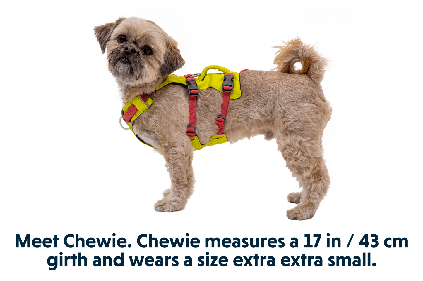 Dog Harness with Handle