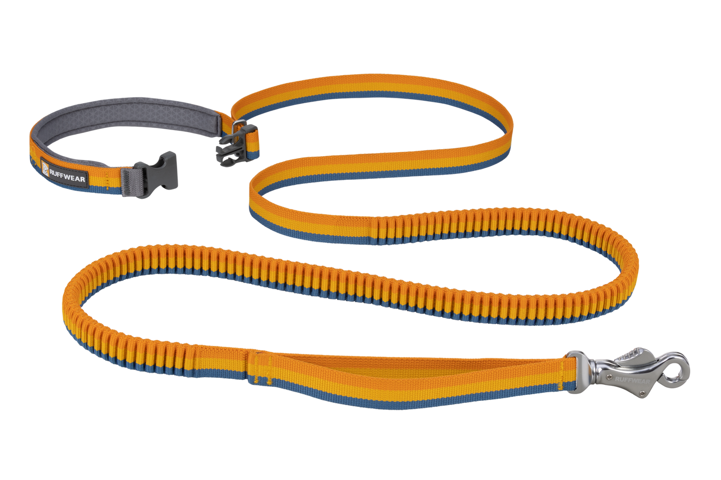 Bungee Dog Leash