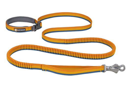 Bungee Dog Leash