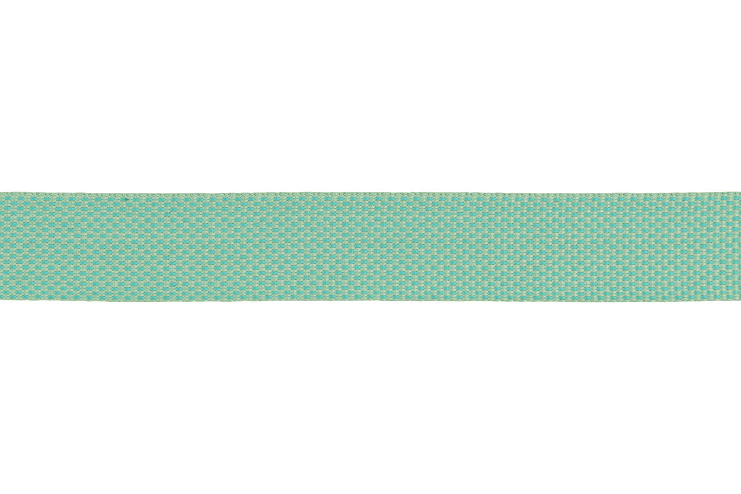 Lightweight Dog Collar