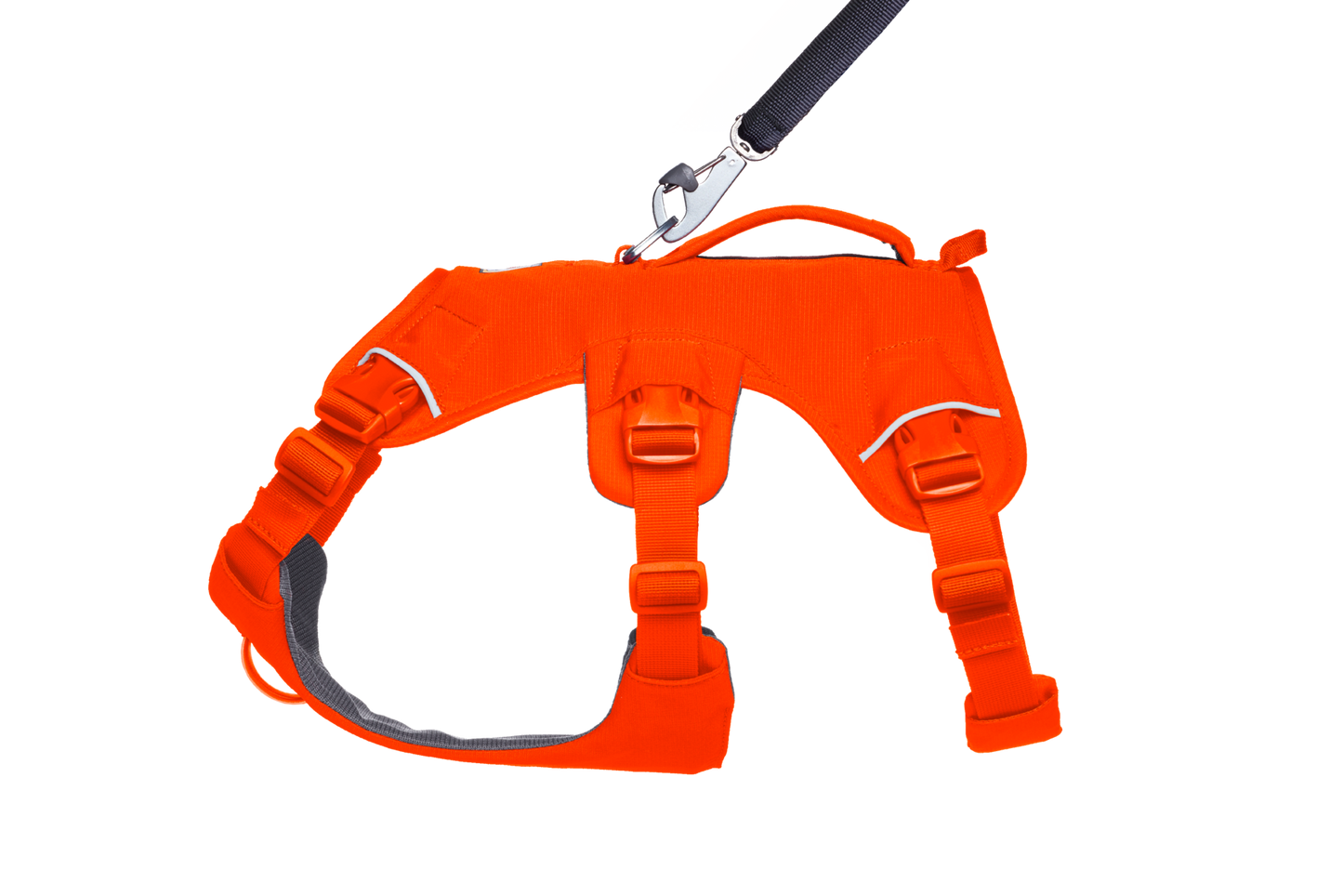 Dog Harness with Handle