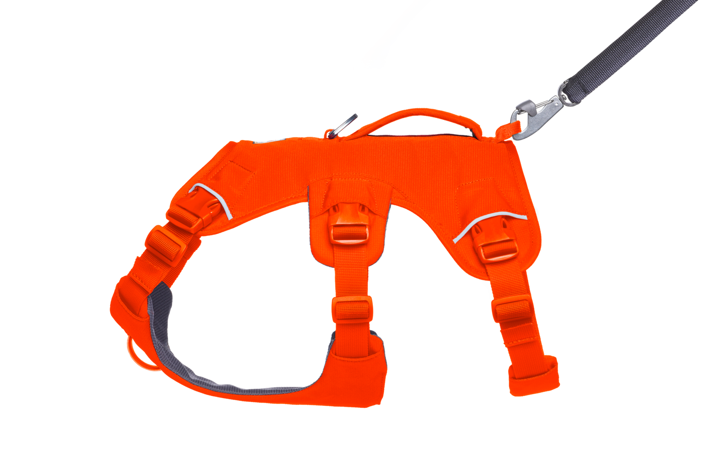 Dog Harness with Handle